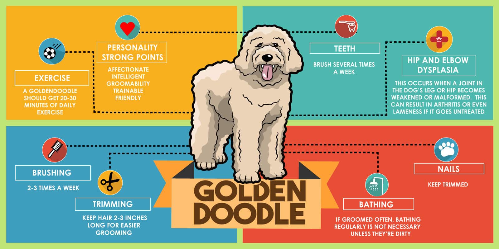 Are Goldendoodles Low Maintenance Goldendoodle Advice