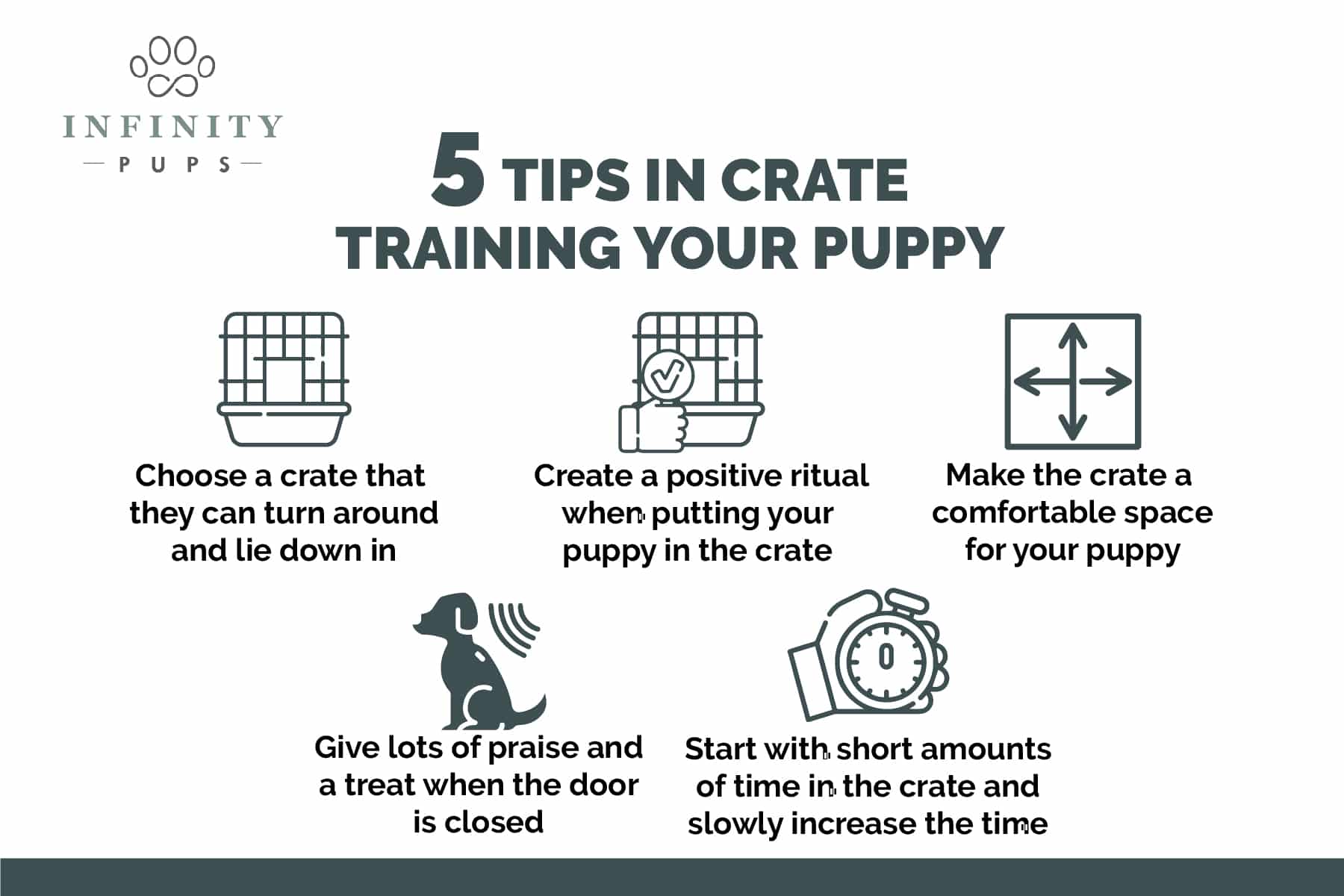 11-things-to-do-when-you-bring-home-a-puppy-so-they-ll-be-healthy